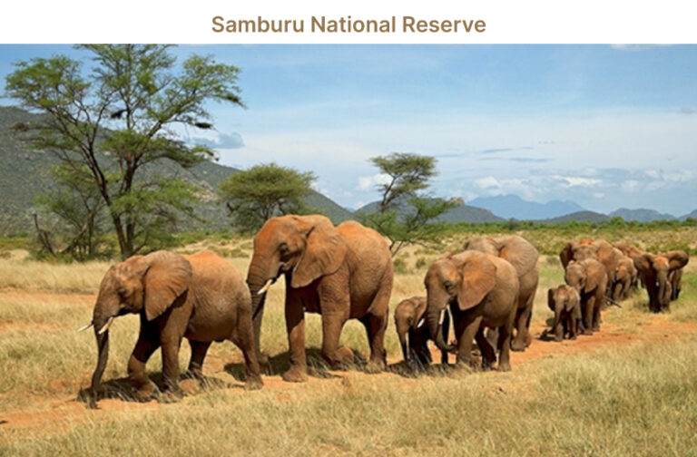 Samburu National Reserve