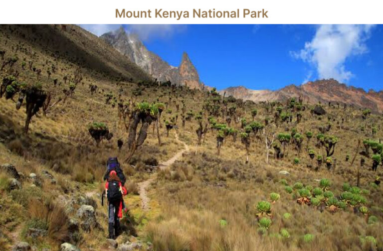 Mt. Kenya Hiking