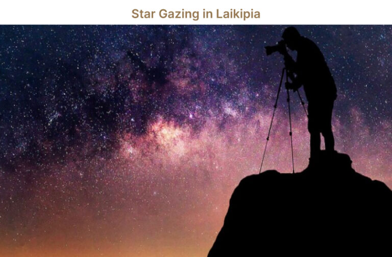 Star Gazing in Laikipia