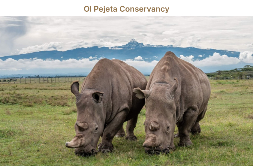 Ol Pejeta Conservancy